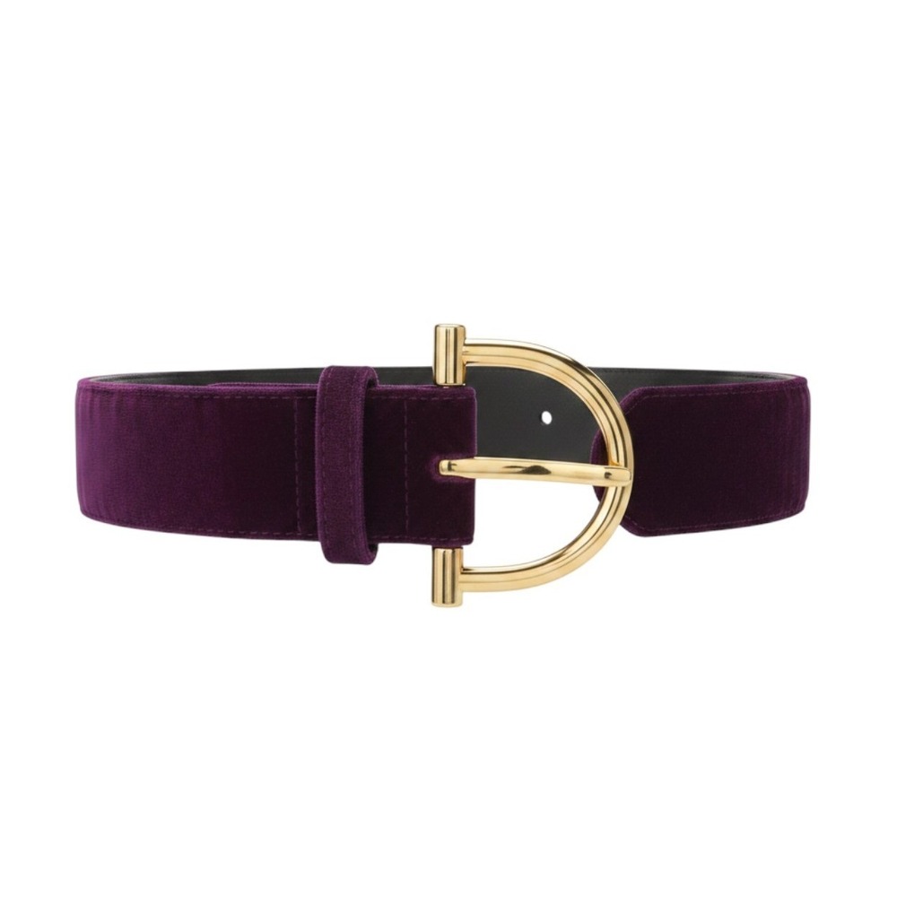 B Low The Belt Purple Velvet Gold Buckle Belt Ren Faire Goth Retro Whimsigoth